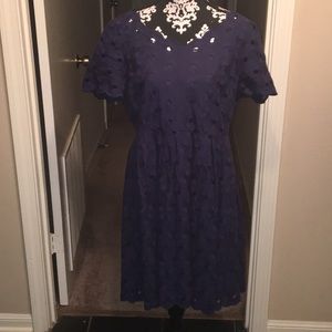 J. Crew Blue Eyelet Dress